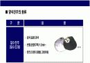 진주에 대한 이해 & 명품 미키모토 Story 7페이지