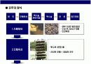 진주에 대한 이해 & 명품 미키모토 Story 8페이지