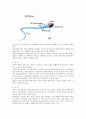 동물 발생학-정자와 난자의 형성과정 4페이지
