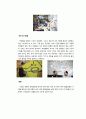 [인적자원관리]구글의 복리후생 사례조사 및 시사점 10페이지