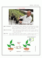 [생명공학] 현대생활과 식탁의 위협 (광우병, 조류독감, GMO 식품)  25페이지