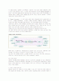 마이클 델과 델 컴퓨터(DELL)의 성공전략 7페이지