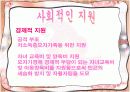 이혼후 발생하는 문제점과 해결방안.PPT자료 11페이지