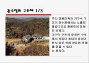 [건축]건축가 우경국과 작품 관수정에 관한 PPT 26페이지
