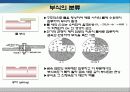 전도성고분자를 이용한 부식방지의 개념과 원리 및 여러 논문들을 통한 응용 6페이지