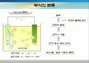 전도성고분자를 이용한 부식방지의 개념과 원리 및 여러 논문들을 통한 응용 8페이지
