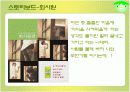 녹차베지밀 광고전략기획서 13페이지
