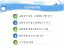 성매매 특별법에관한 찬성과반대의견비교분석 2페이지