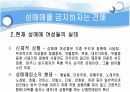 성매매 특별법에관한 찬성과반대의견비교분석 14페이지