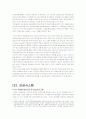다음(daum)의 인사관리분석 16페이지