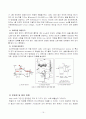 Organice Devices의 종류 및 작동원리와 현 발전 동향에 대하여 16페이지