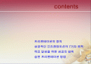 성공적인 프리젠테이션을 위한 ppt 2페이지