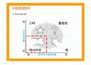 비타500의 마케팅전략 성공사례 13페이지