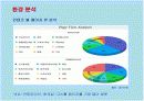 넥슨의 카트라이더 마케팅전략 성공사례 12페이지