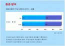 넥슨의 카트라이더 마케팅전략 성공사례 13페이지