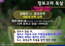 해상왕, 장보고 12페이지