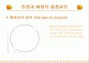 게슈탈트 심리학과 광고 14페이지
