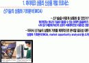 하이테크 신상품의 개발과 출시 전략 8페이지