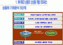 하이테크 신상품의 개발과 출시 전략 9페이지