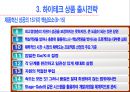 하이테크 신상품의 개발과 출시 전략 23페이지