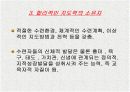 태권도의 운영방법과 지도방법 6페이지