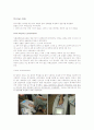초콜렛 섭취와 골밀도관계(외국논문자료 번역 및 분석) 3페이지