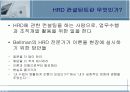 HRD 컨설턴트  4페이지