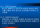 광고와 언어 33페이지