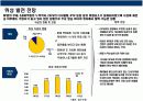 T-Commerce(티 커머러스)의이해와 전략 12페이지