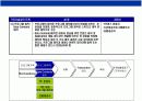 T-Commerce(티 커머러스)의이해와 전략 16페이지