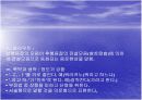 방언교육을 통한 국어의 이해 10페이지