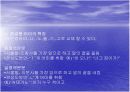 방언교육을 통한 국어의 이해 13페이지