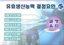 경쟁우위의공장입지와규모결정 49페이지