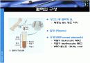 생리학 : 심장과 순환  8페이지