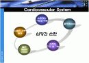 생리학 : 심장과 순환  15페이지