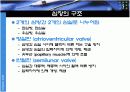 생리학 : 심장과 순환  19페이지