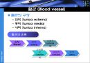 생리학 : 심장과 순환  29페이지