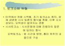 토크쇼와 미디어 전쟁 (PPT자료) 4페이지