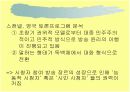 토크쇼와 미디어 전쟁 (PPT자료) 15페이지