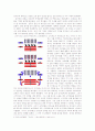 포에니전쟁 7페이지