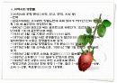 지역사회탐방과제(빈곤지역) 9페이지