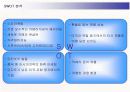 삼성 디지털카메라 케녹스의 새로운 전략수립 15페이지