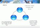 다국적기업 LG전자의 인도시장진출 현지화 전략 4페이지