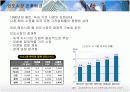 다국적기업 LG전자의 인도시장진출 현지화 전략 8페이지