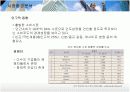 다국적기업 LG전자의 인도시장진출 현지화 전략 12페이지