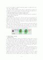 수업지도안(세안) - Ⅲ. 물질의 구성/탐구10) 불꽃색으로 원소 구별하기 18페이지