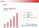 히트상품 옥수수수염차의 마케팅과 향후 전략 13페이지
