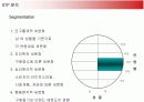 히트상품 옥수수수염차의 마케팅과 향후 전략 18페이지