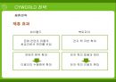 사이좋은 사람들 싸이월드(CYWORLD)의 전략 [A+] 45페이지