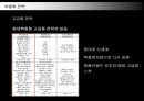 현대백화점의 차별화 전략 성공사례  24페이지